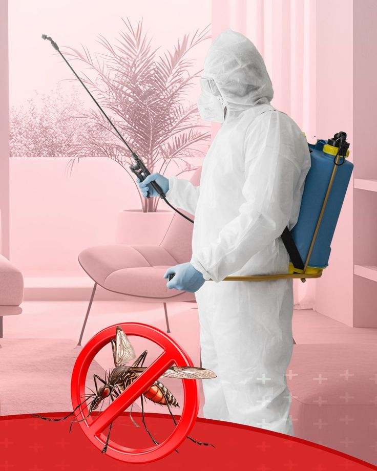 Defne profesyonel böcek ilaçlama